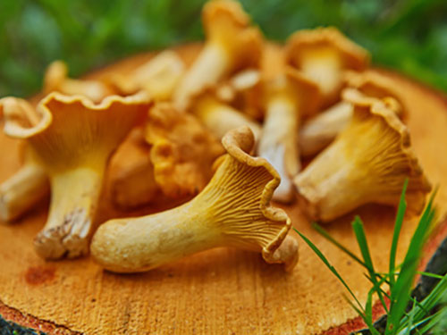 Unsere aktuellen Monatsaktionen / Bild: Fotolia.de © Ekaterina
