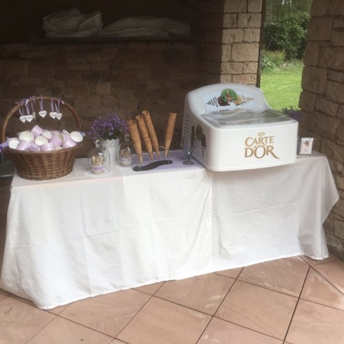 Partyservice-Impressionen vom Eispavillon in Mespelbrunn